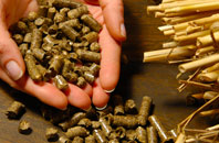 free Buckfast biomass boiler quotes