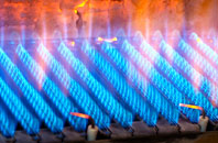 Buckfast gas fired boilers